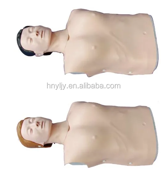 Biyoloji insan anatomik İnsan Elektronik Yarım vücut CPR Eğitim Mankeni Erkek ve Bayan modelleri