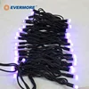 Evermore Outdoor Black Wire Rubber Cable String Lights