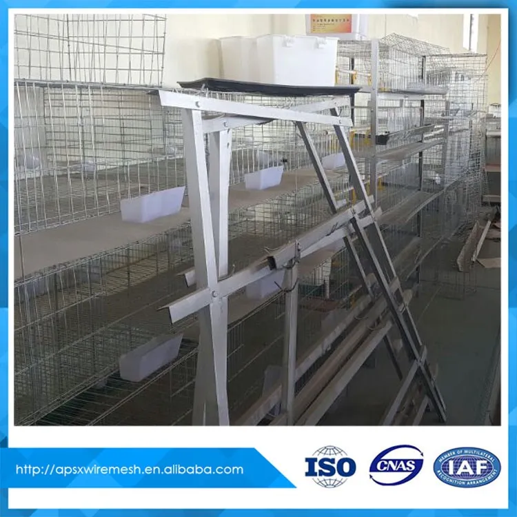 Chovm Gold Supplier quail bird cages for sale in pakistan