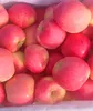 Alibaba high quality natural organic agricultural product apples