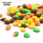 Colorful sunflower seed candy bean names for chocolates in bag
