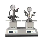 Lab 250ml Parallel High Pressure Reactor With 2 Reaction Kettles