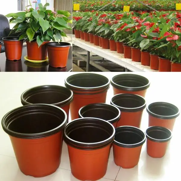 Home Garden Red Bonsai Pots Planters