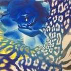 High quality spandex satin silk saree fabric digital print