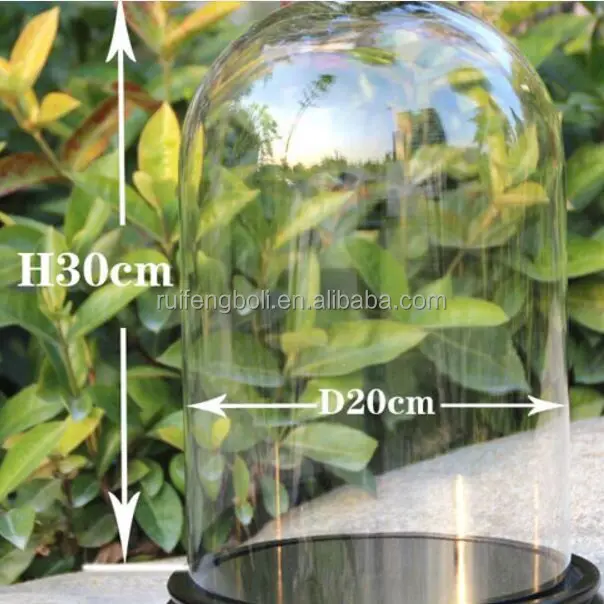 large diameter glass bell dome/ display glass dome