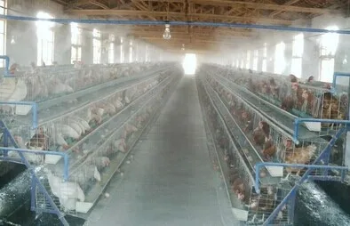 High pressure mist nozzle with ss filter