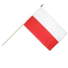 Custom Size Polyester Mini Held Stick Hand National Flags