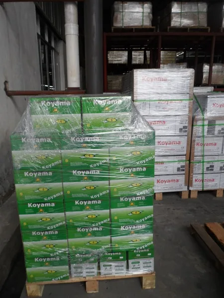 NEW ! Koyama Silver Power Lead Calcium Maintenance Free Car Battery 95D31R(NX120-7MF)