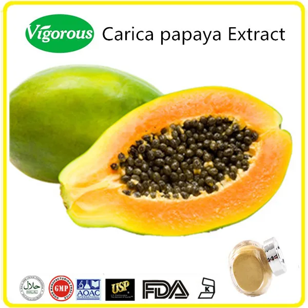 100% natural carica papaya extract/ papain 100,000u/g papaya