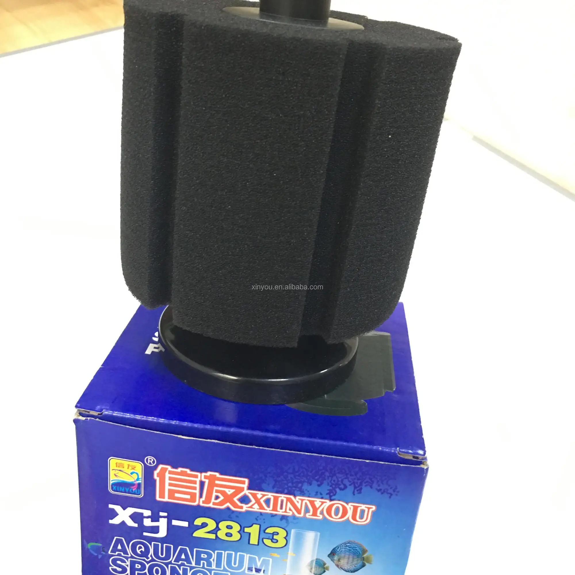 XY2813.jpg
