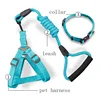 pet accessories dog leash handle Nylon running dog leash parachute cord Pet Leash