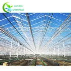 China cheap hydroponic in glass agricultural greenhouses