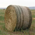 china agro hdpe plastic bale wrap net in cheap price