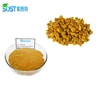 /product-detail/sost-top-quality-antioxidant-turmeric-curcumin-capsules-1385933906.html