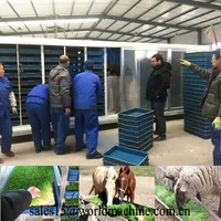 Controlled Environment Agriculture The Grow Room