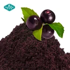 100% Nature Organic Acai Fruit Powder