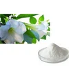 /product-detail/bulk-cas-114-49-8-98-99-powdered-scopolamine-price-60754627314.html