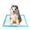 Indoor Pet Training pads electric shock mat for dogs cats