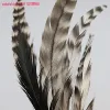 China factory price 8-12 inch DIY natural color rooster tail feather