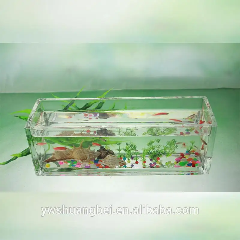 rectangular fish bowl