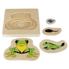 Good Price Of Baby Wooden Montessori Materials Puzzle Box Toys