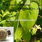 GMP Supplier Male enhance Epimedium Herb P.E5%-60% Icariins