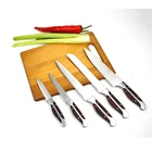 High quality Double bolster handles 5 pieces kitchen knife set