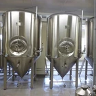 Beer Brewery plants/machine, Small beer brewing equipment and mini fermentor /fermentation tank