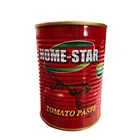 producer of tomato paste ketchup bulk manufacturers