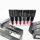 Private Label Makeup Matte Liquid Lipstick 6 Colors OEM Custom Waterproof Cosmetic Lip Gloss for Girls and Women