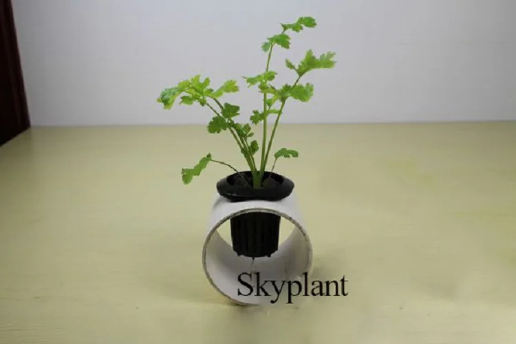 net pot (1).jpg