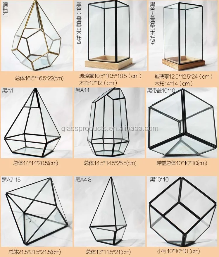 Glass Terrarium.png