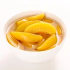 Zhenxin Canned Yellow Peach Dices / Slices in Syrup 248g / 227g