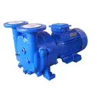 2BV SERIES stainless steel factory price liquid ring water ring vacuum pump