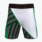Custom sublimated printed fight short, men's boxing mma shorts