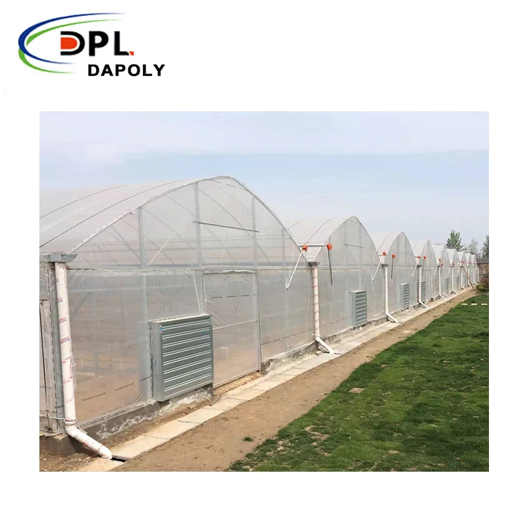 Agricultural Use Fruit Tree HDPE Insect Froof Bird Netting Waterproof Net for Agriculture