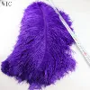 70-75cm Large Feather Dyed Ostrich Feathers for Wedding Table