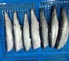 /product-detail/frozen-pacific-herring-60686012952.html
