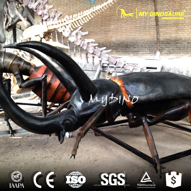 beetle insect model