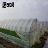 Good ventilation insect proof net for greenhouse