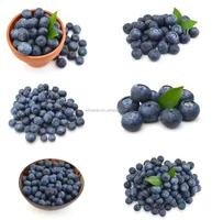 Natural Blueberry Fruit Flavors And Can