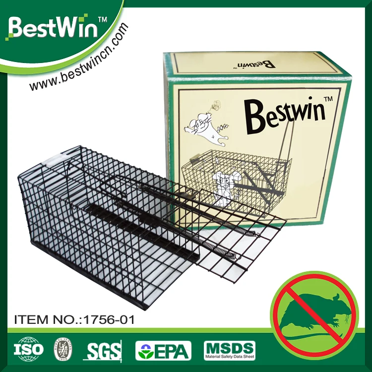 rat trap cages