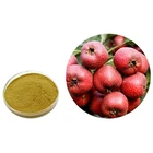 Organic hawthorn 5%-90% extract & 100% powder
