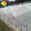 cheap price hydroponic greenhouse used for sale