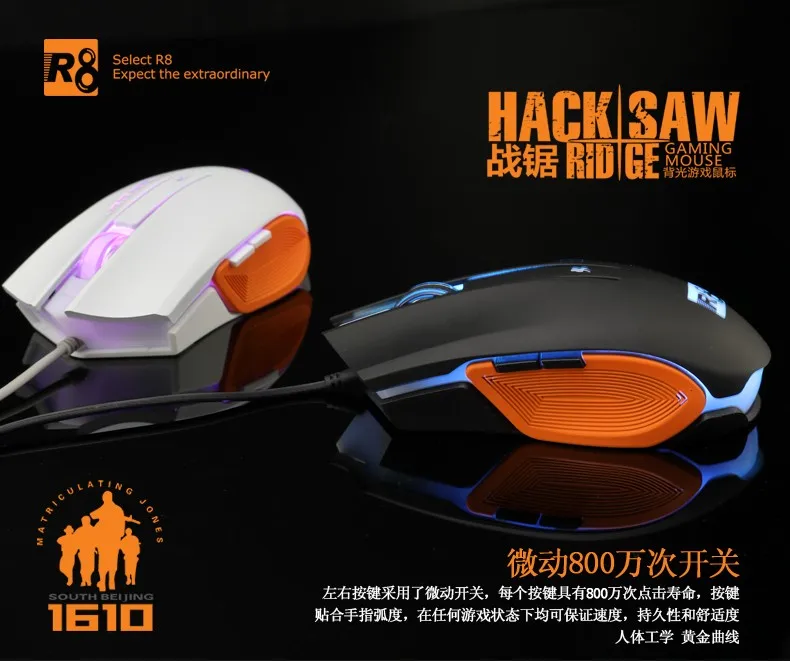 R8 161006.jpg