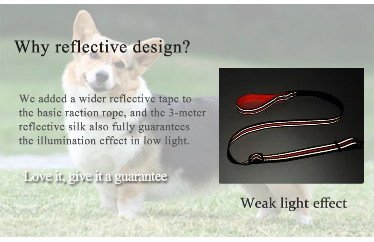 Nylon soft breathable training pet dog leash