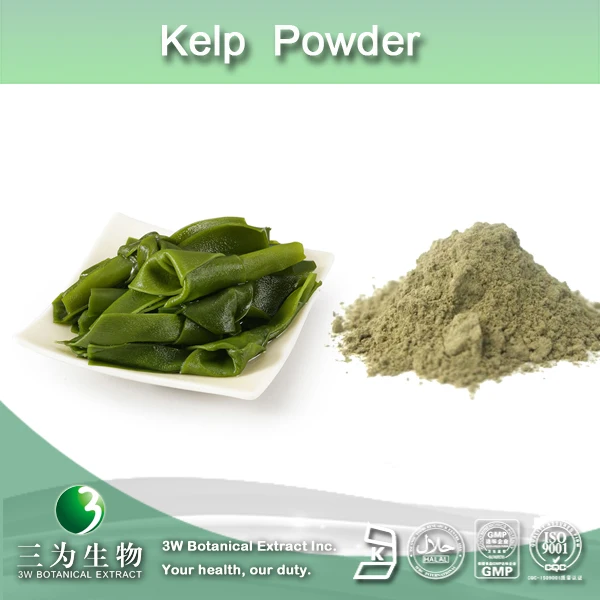 100% natural kelp powder,seaweed powder,powdered