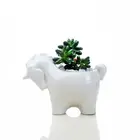 Home Garden Decoration Horse Design Ceramic Flower Pots
