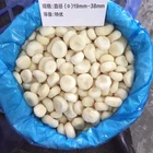 frozen water chestnut whole