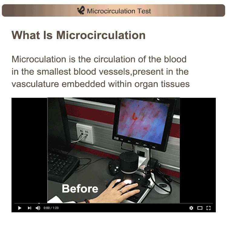 company information about rainso   the head office